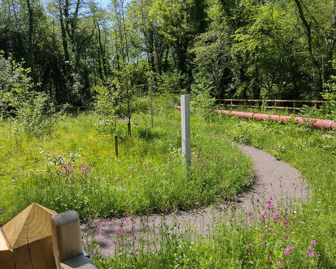 A path curving around to the left through a wildflower area during a summer day