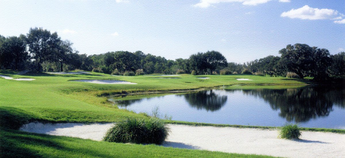 4113 Great Golfers Place, Valrico, FL 33596