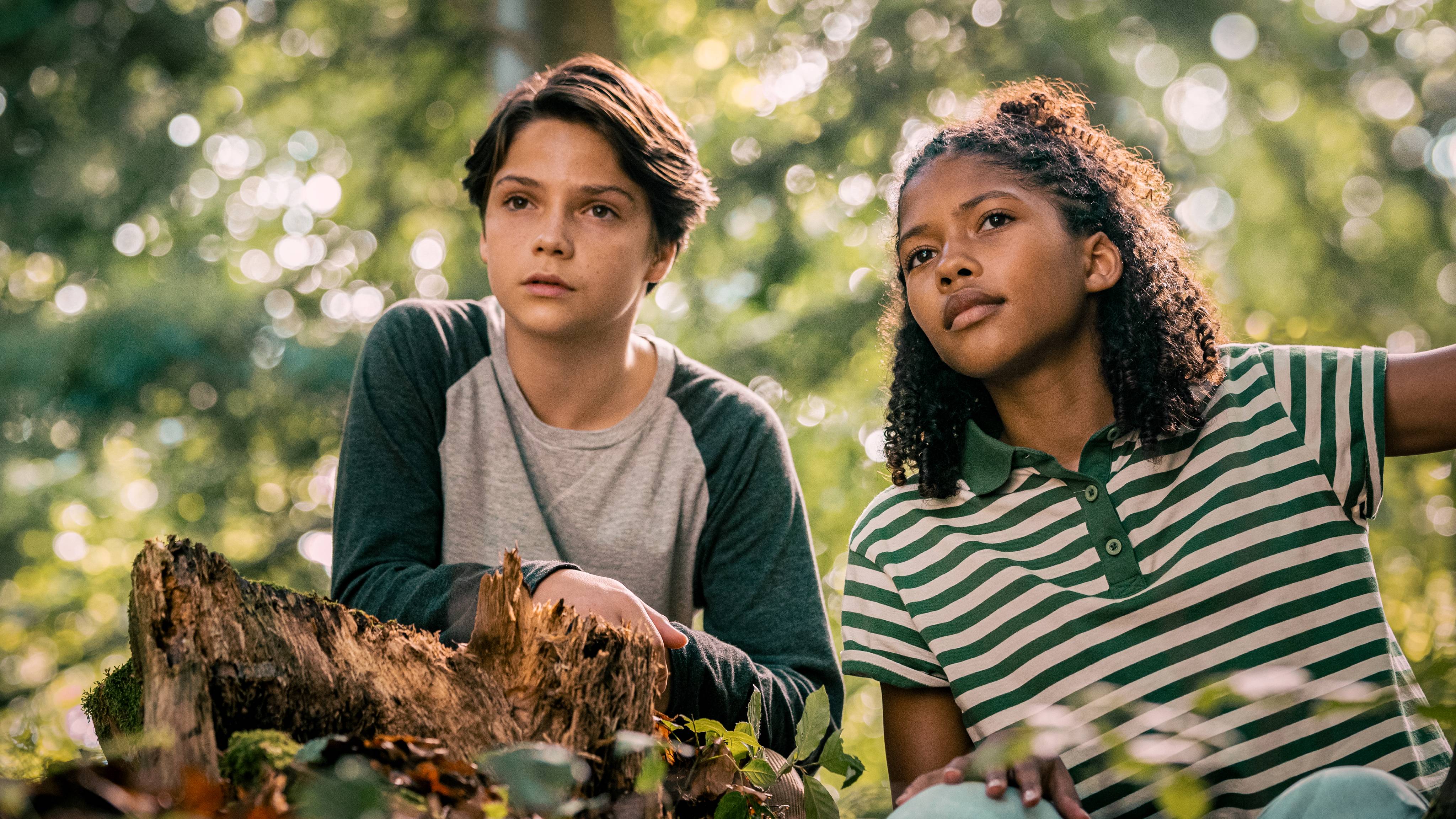 DOR FILM WOODWALKERS