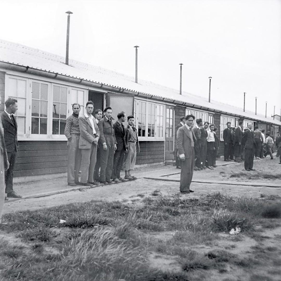 De wortel van gras - Van Joodse werkkampen tot Auschwitz