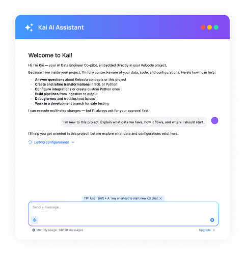 Project Understanding