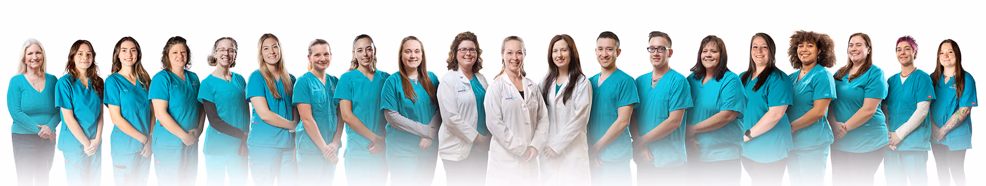 Animal Care Clinic Team - Vet in Jackson Township Ohio