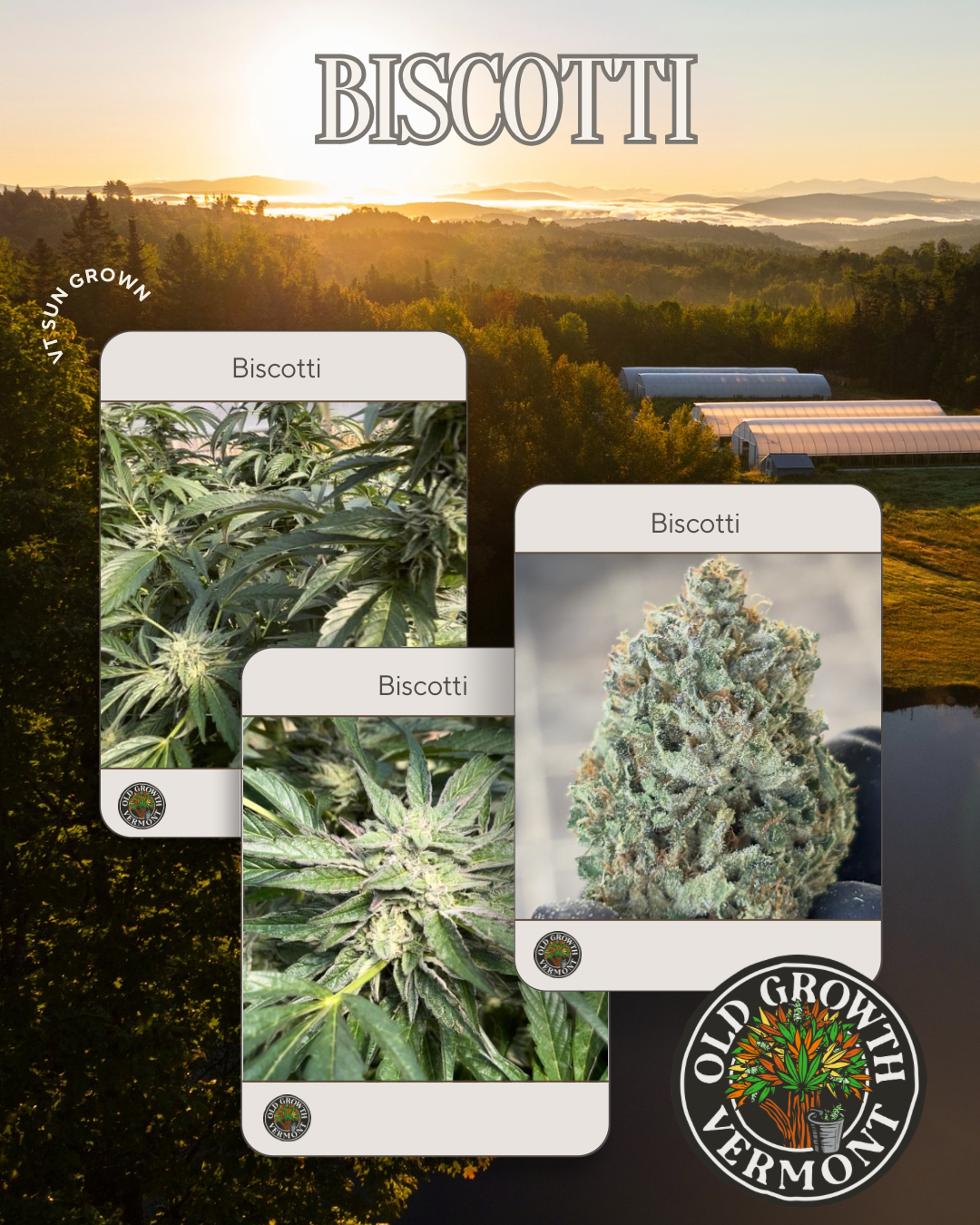 Old Growth Vermont Biscotti poster for ad