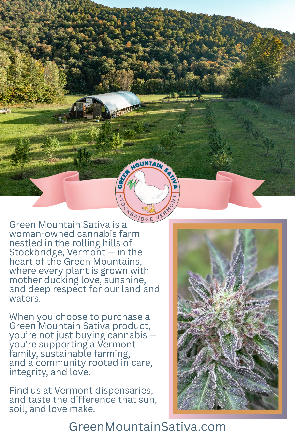 Green Mountain Sativa poster ad