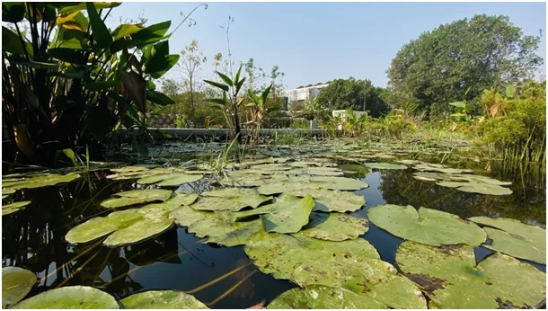 Sapthapatha Lessons - Bio-Pool