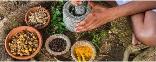 Ayurveda – A Way of life