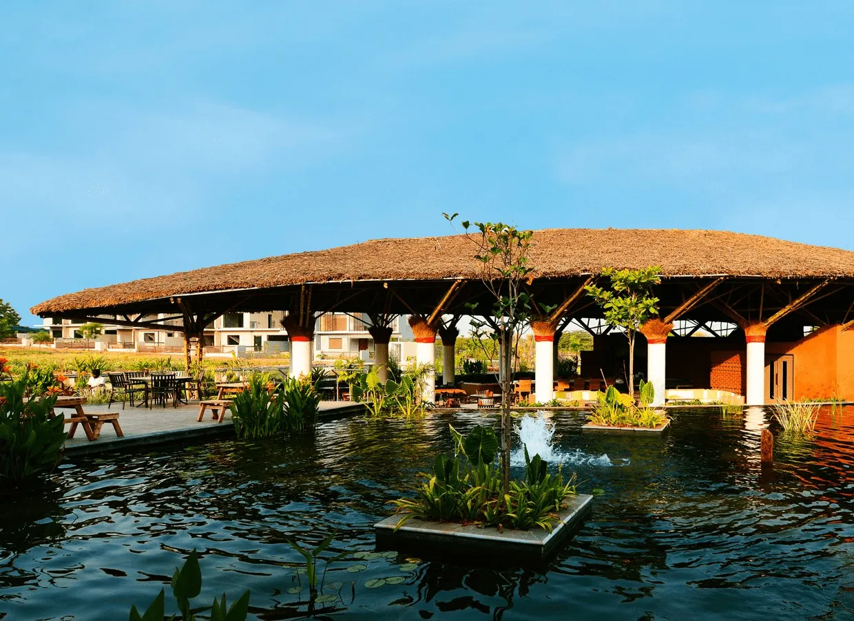 Natural Swimming Pools– Need of the Hour