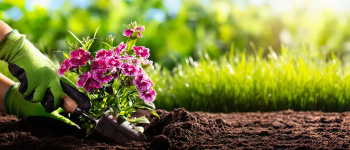 Have you tried Gardencersise yet?
