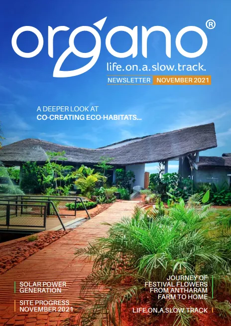 Organo newsletters