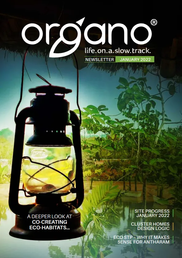 Organo newsletters