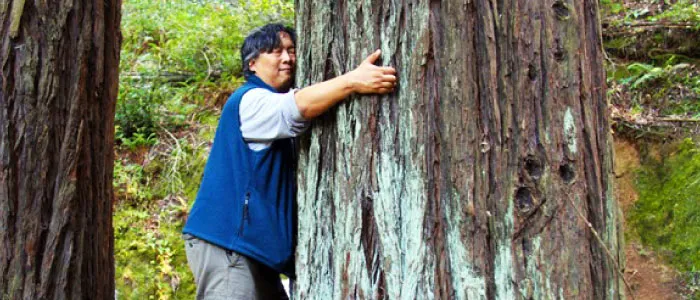 Keeping it Cool – Mitigating Heat Islands through Rurban Ecohabitats 