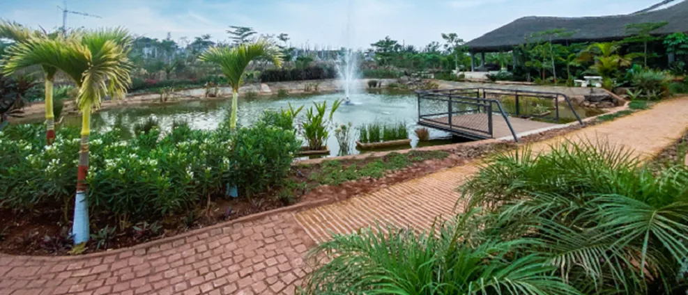 What Role Do Plants Play In Maintaining A Healthy Ecosystem?