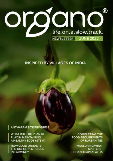 Organo newsletters