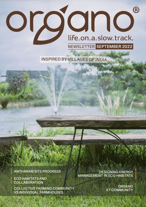 Organo newsletters