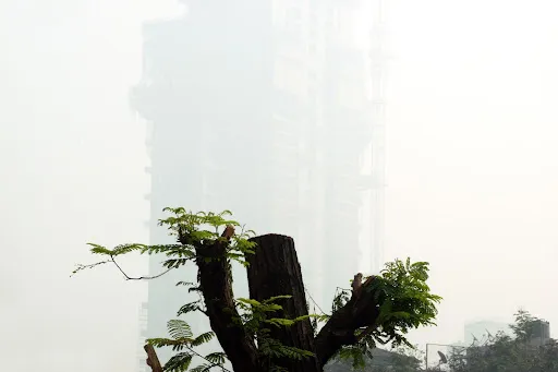 How real is the Climate Crisis?