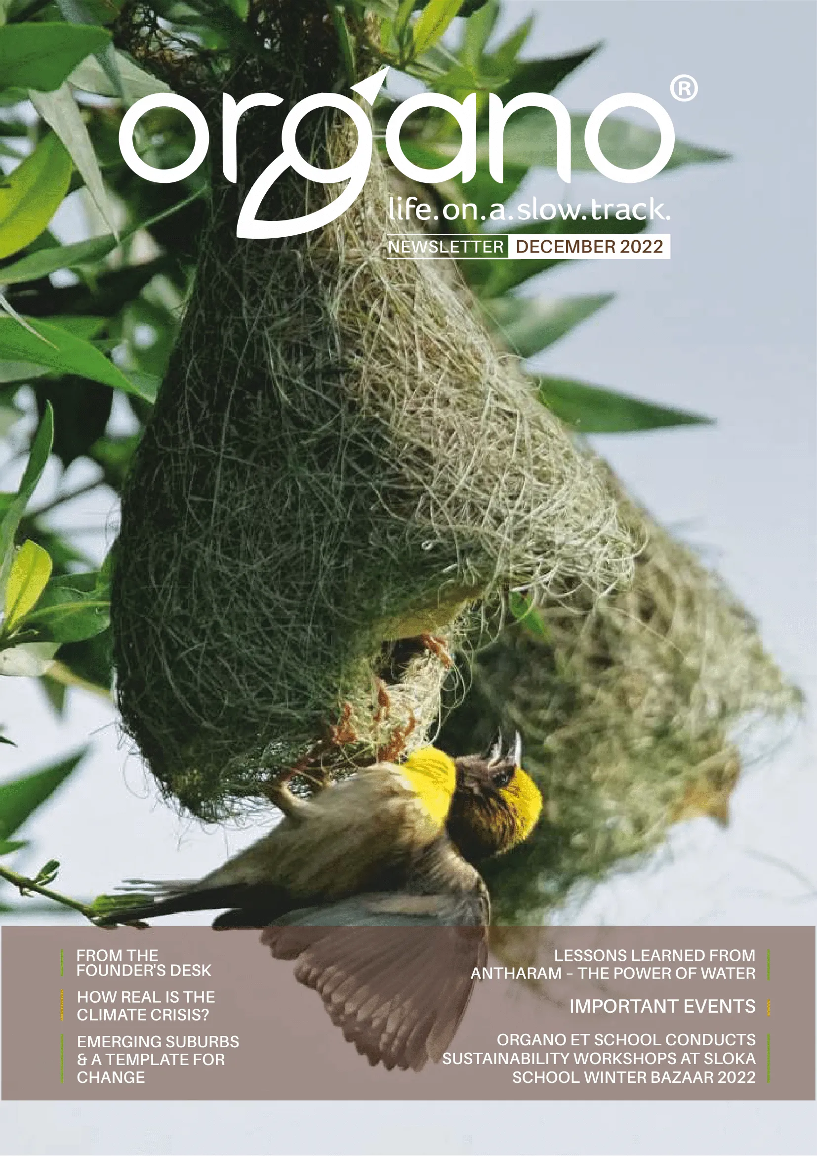 Organo newsletters