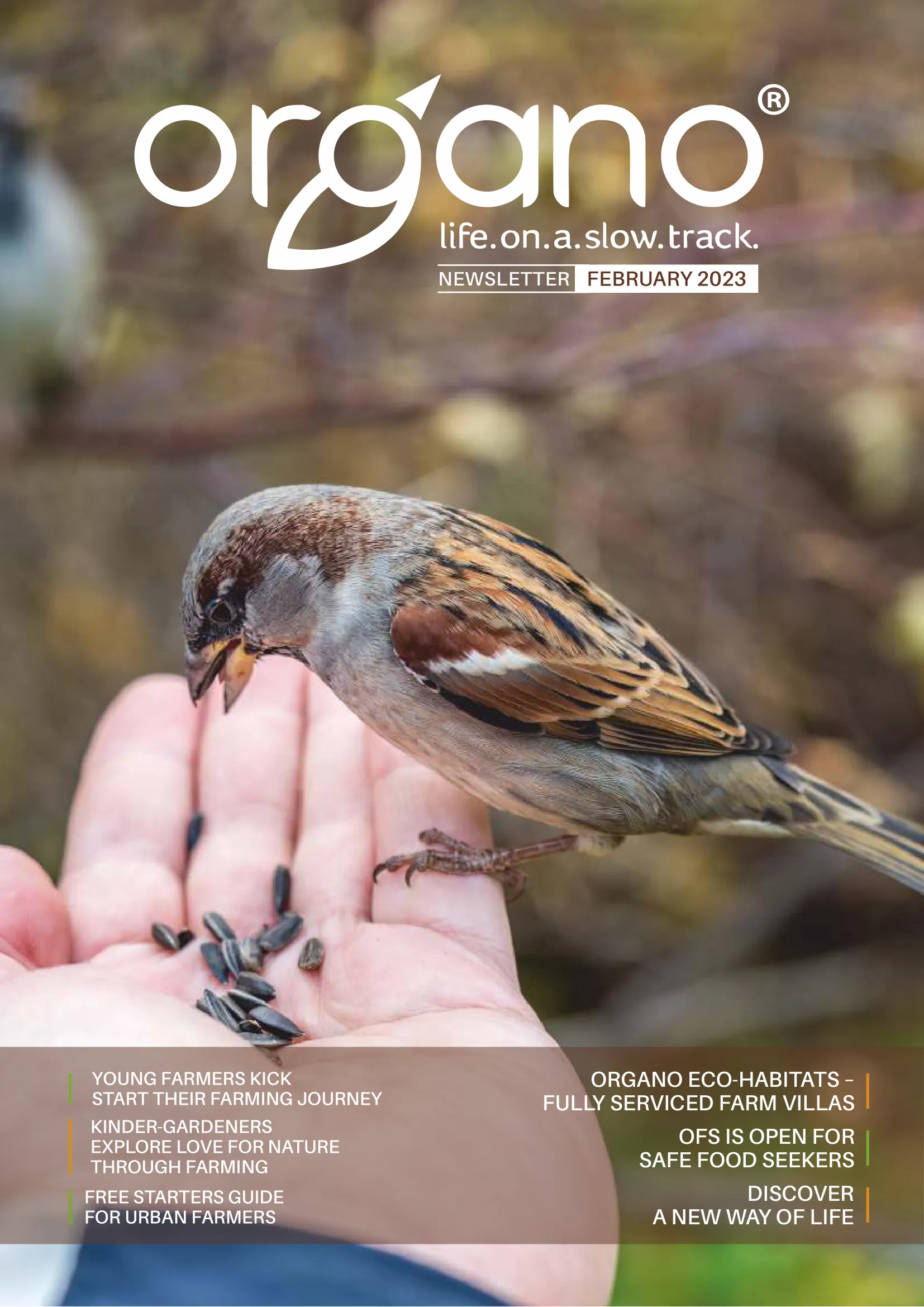 Organo newsletters