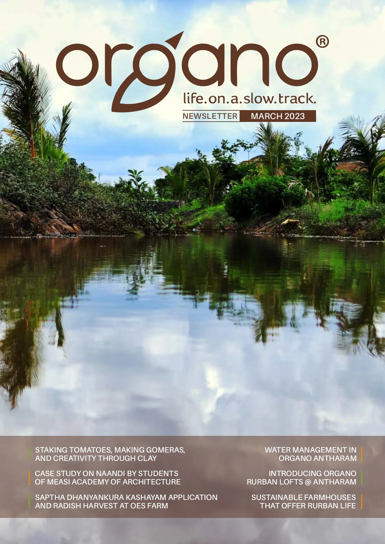 Organo newsletters