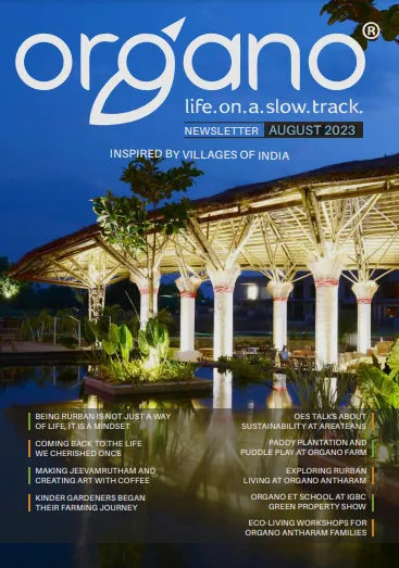 Organo newsletters
