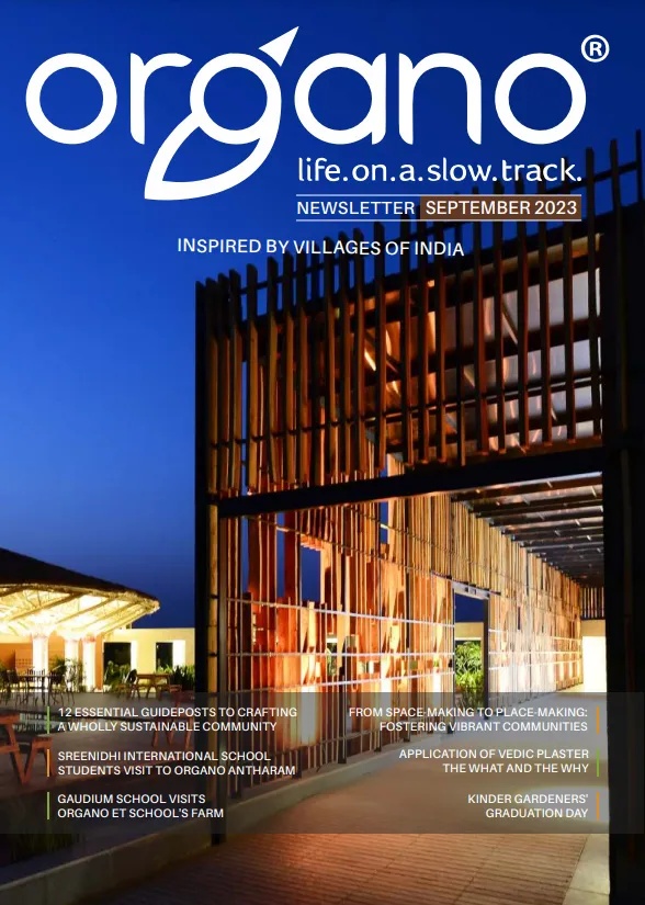 Organo newsletters