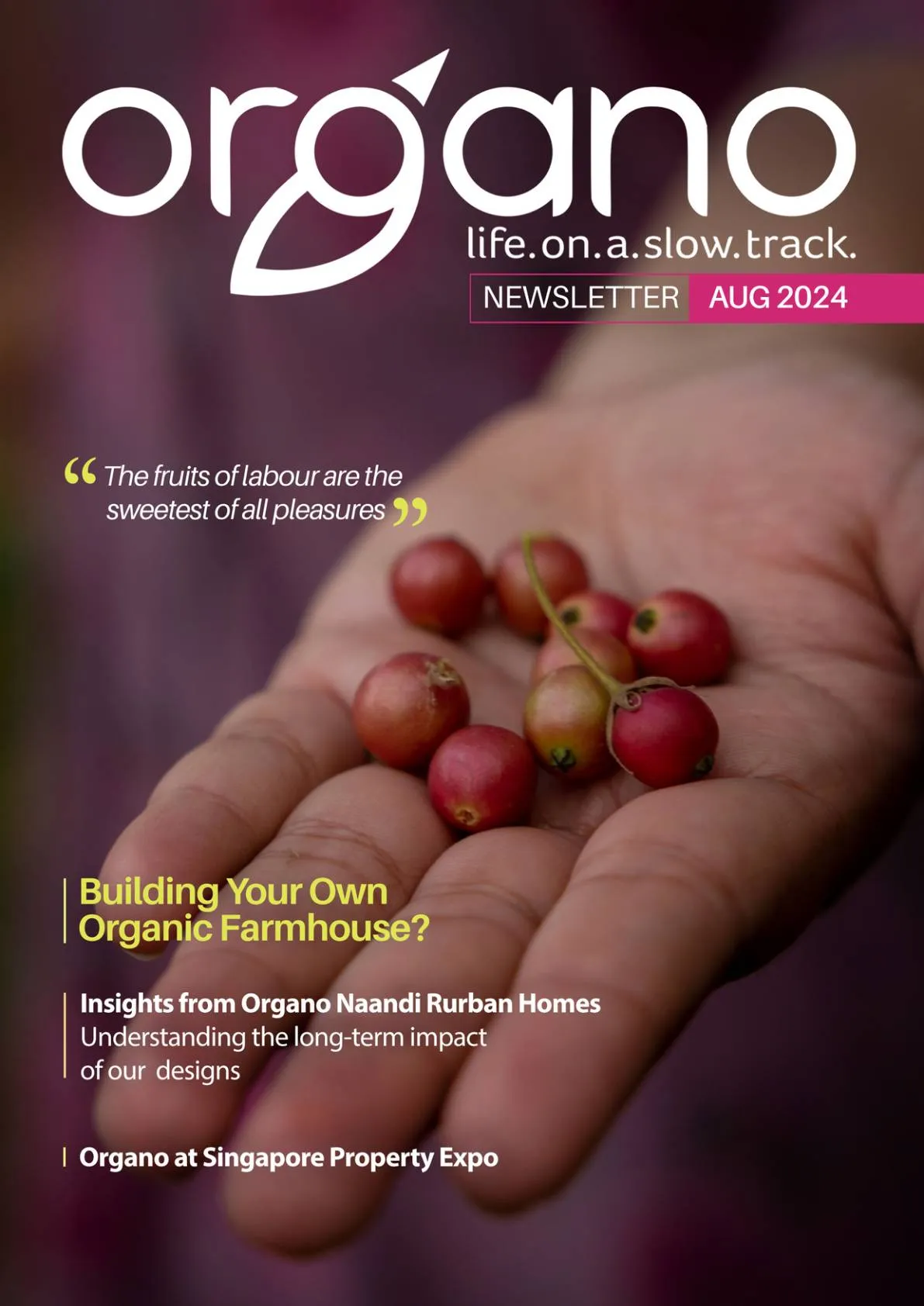Organo newsletters