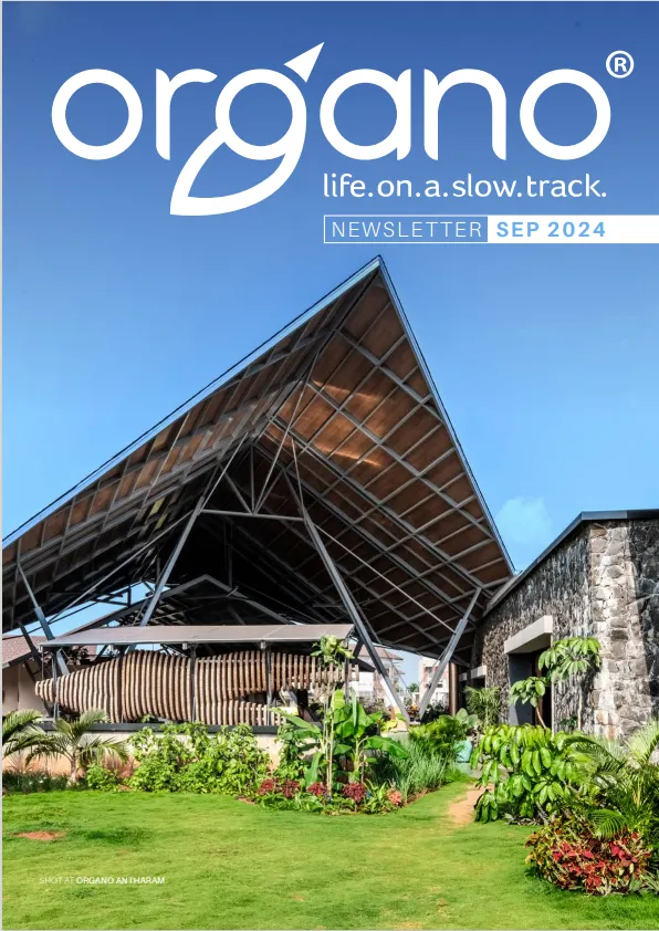 Organo newsletters