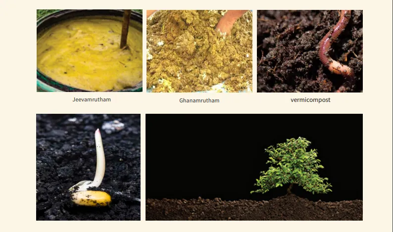 organic jeevamuratham