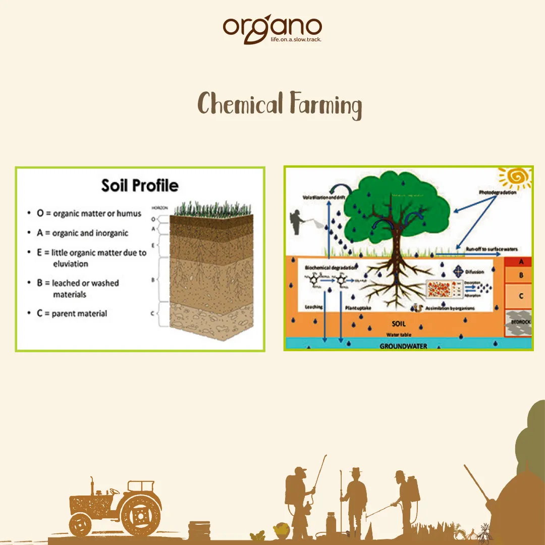chemical farming