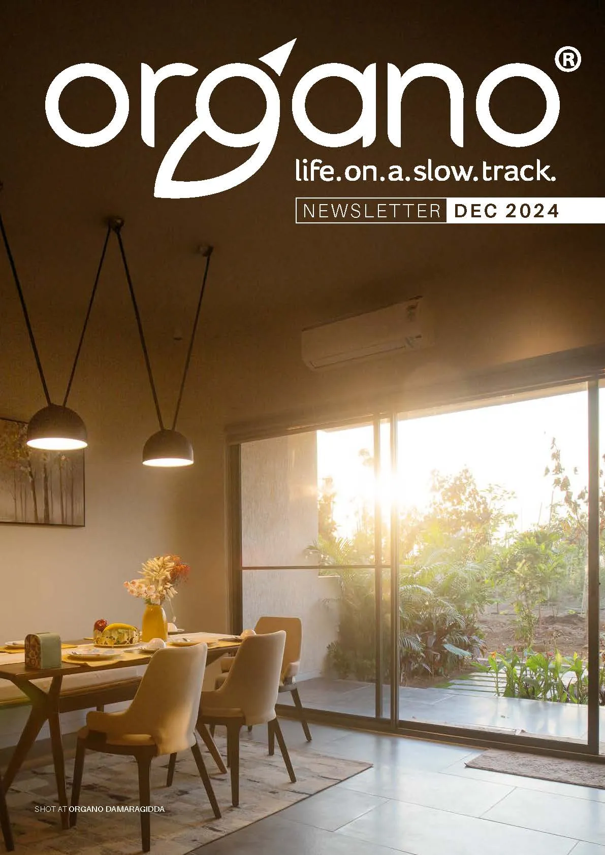 Organo newsletters