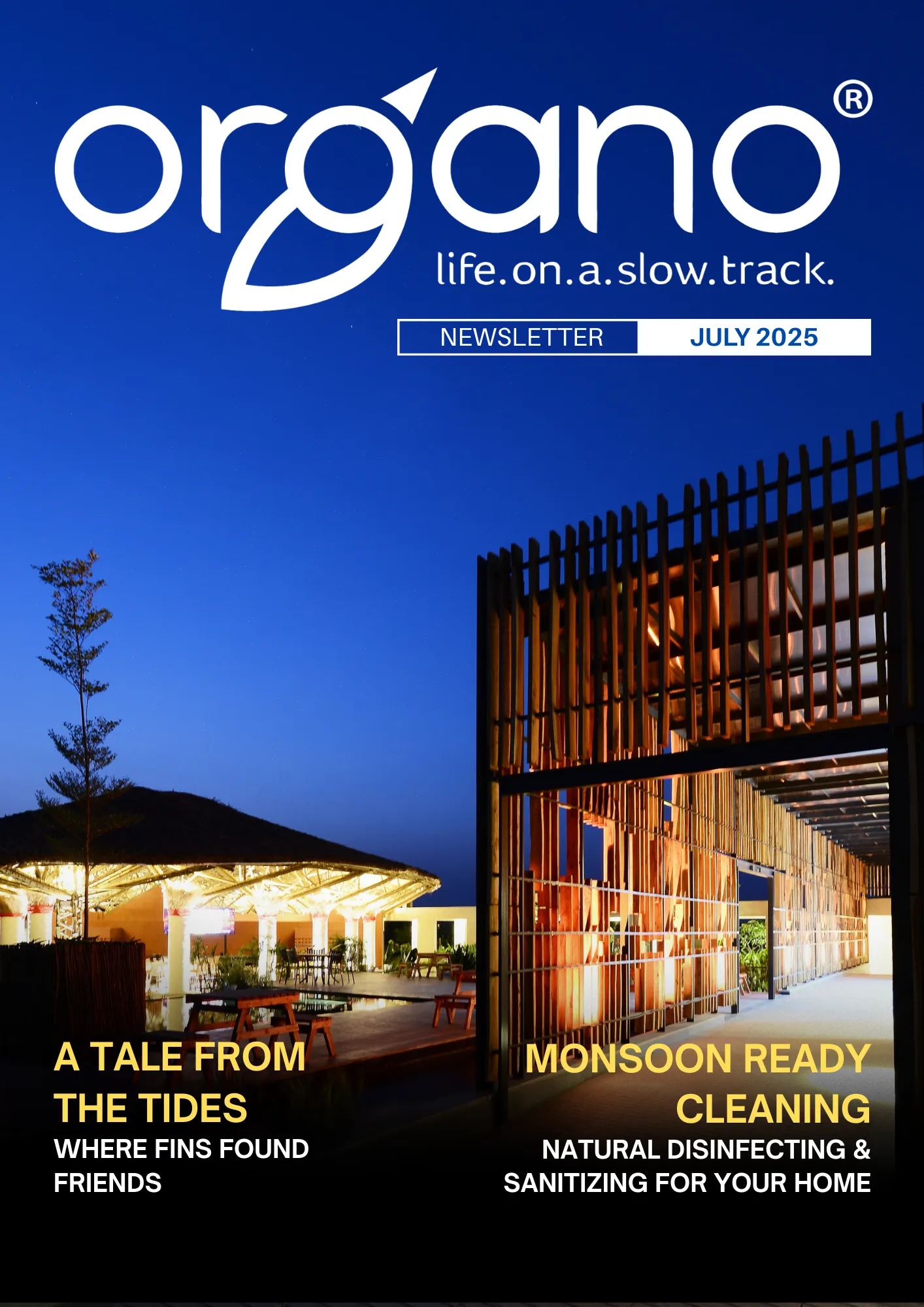 Organo Newsletter