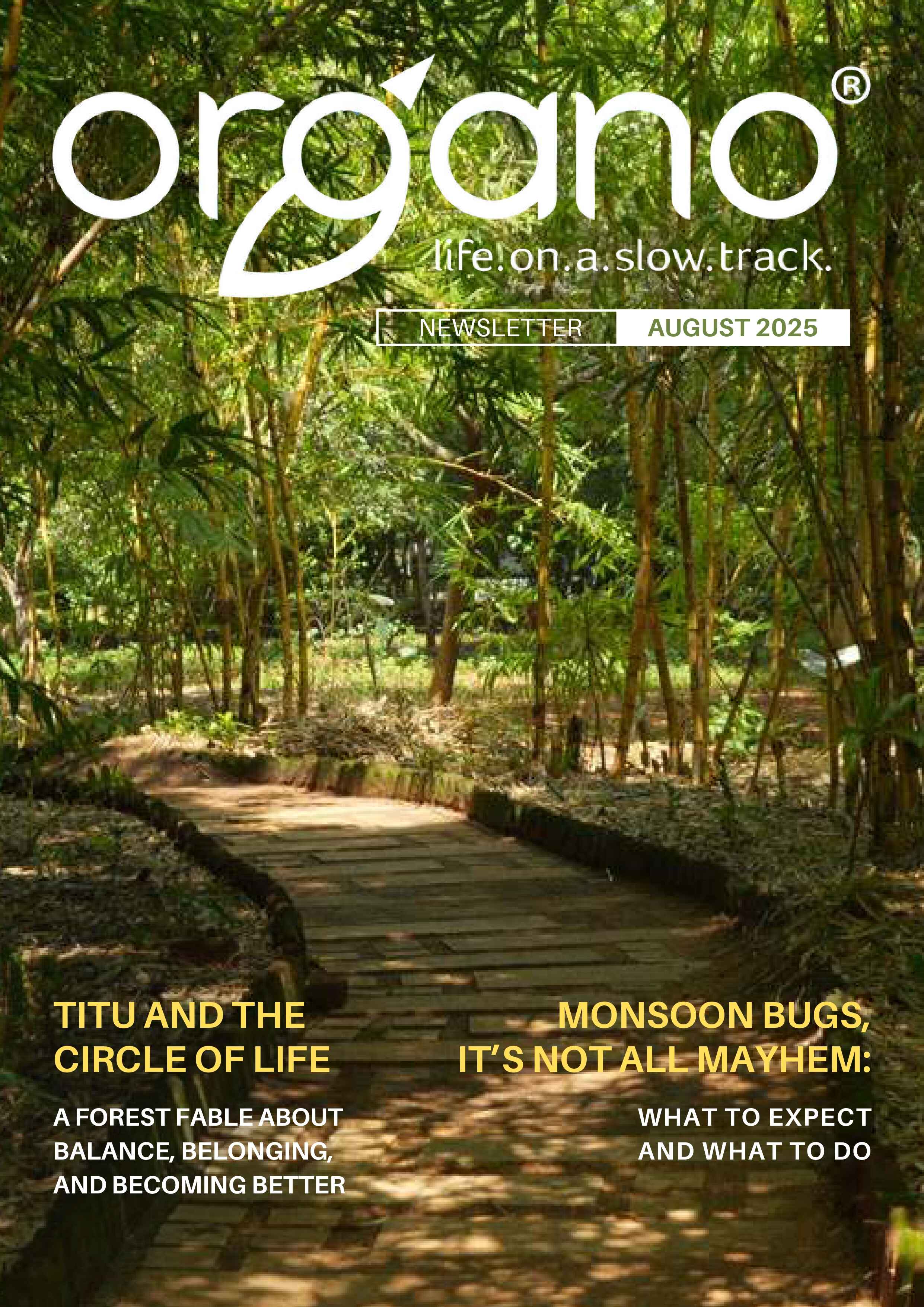 Organo Newsletter
