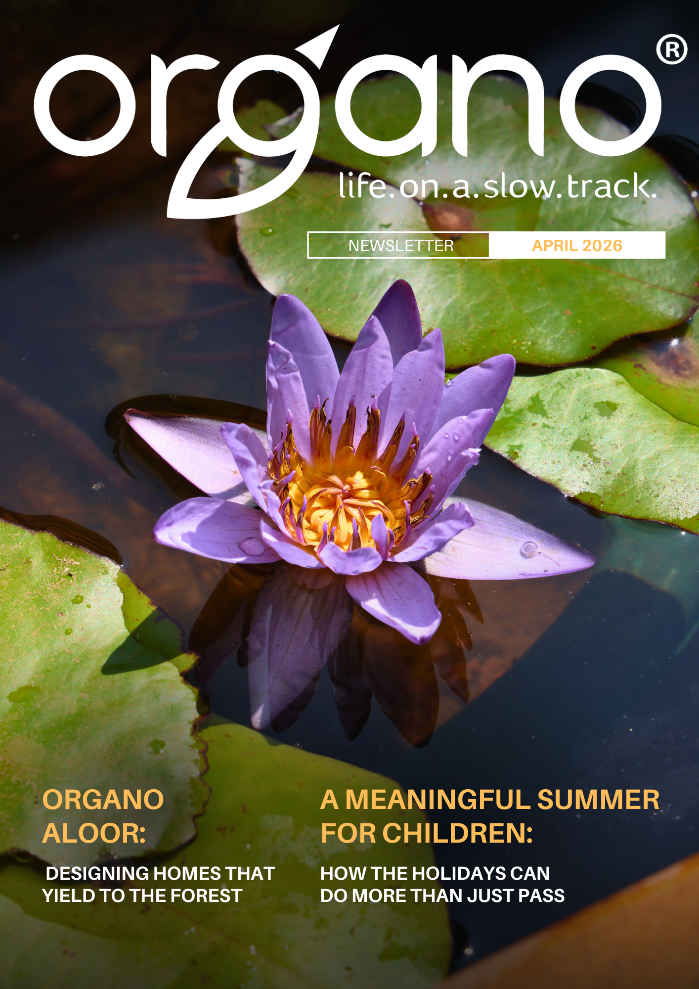 Organo Newsletter
