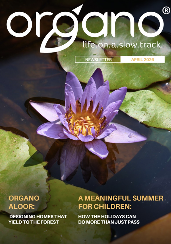 Organo Newsletter