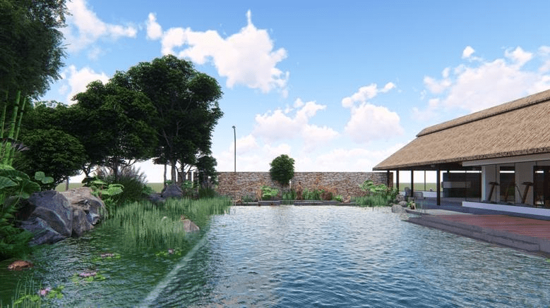 How does a natural pond function?