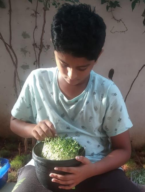 kid growing micrgreen