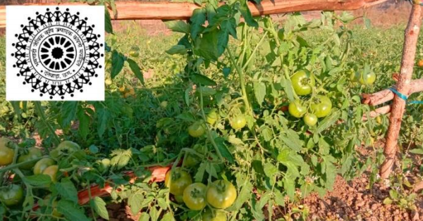Bhoomgadi Organic Farmers Producers