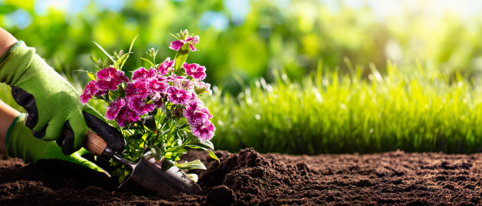 Benefits of Gardening