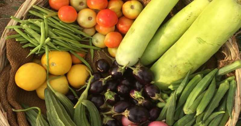 organic vegetables