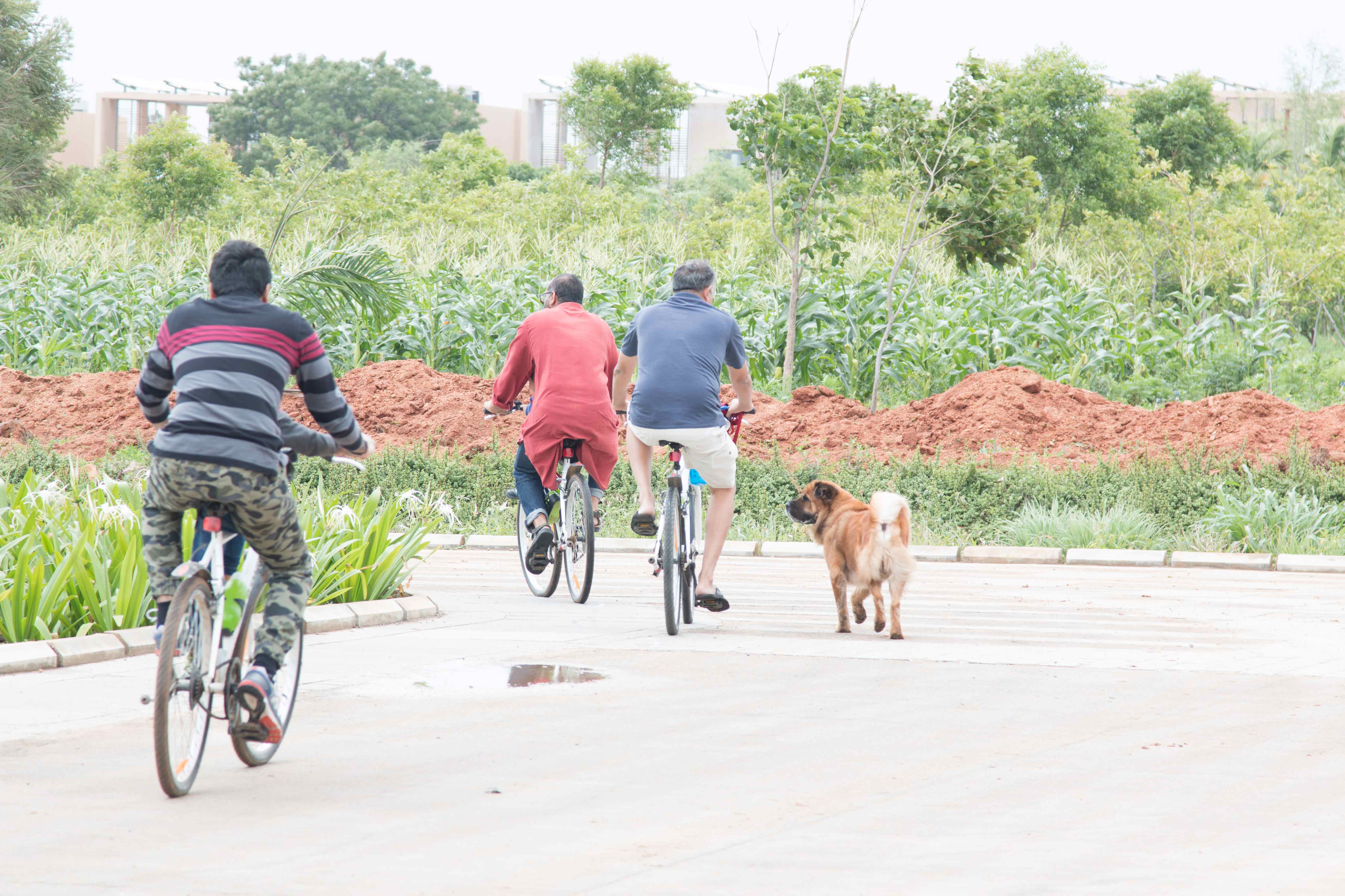 cycling in the rurban community hyderabad