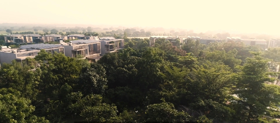 Greenery in Urban Areas is just as beneficial as Forests