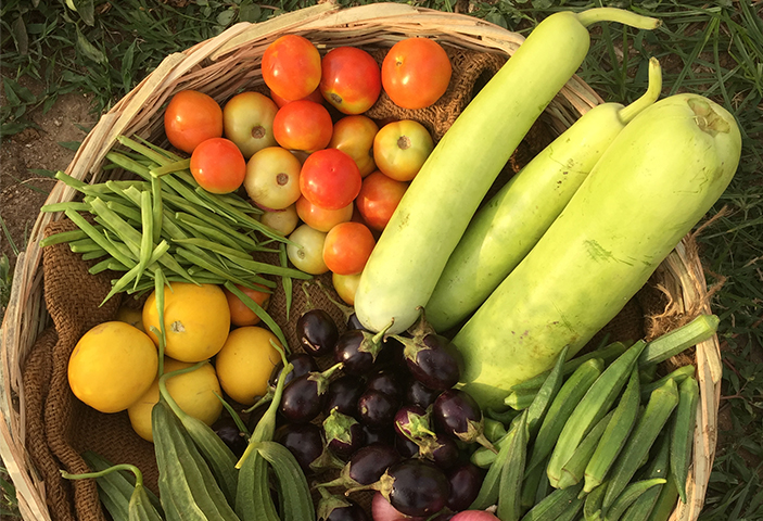 organic farm produce hyderabad