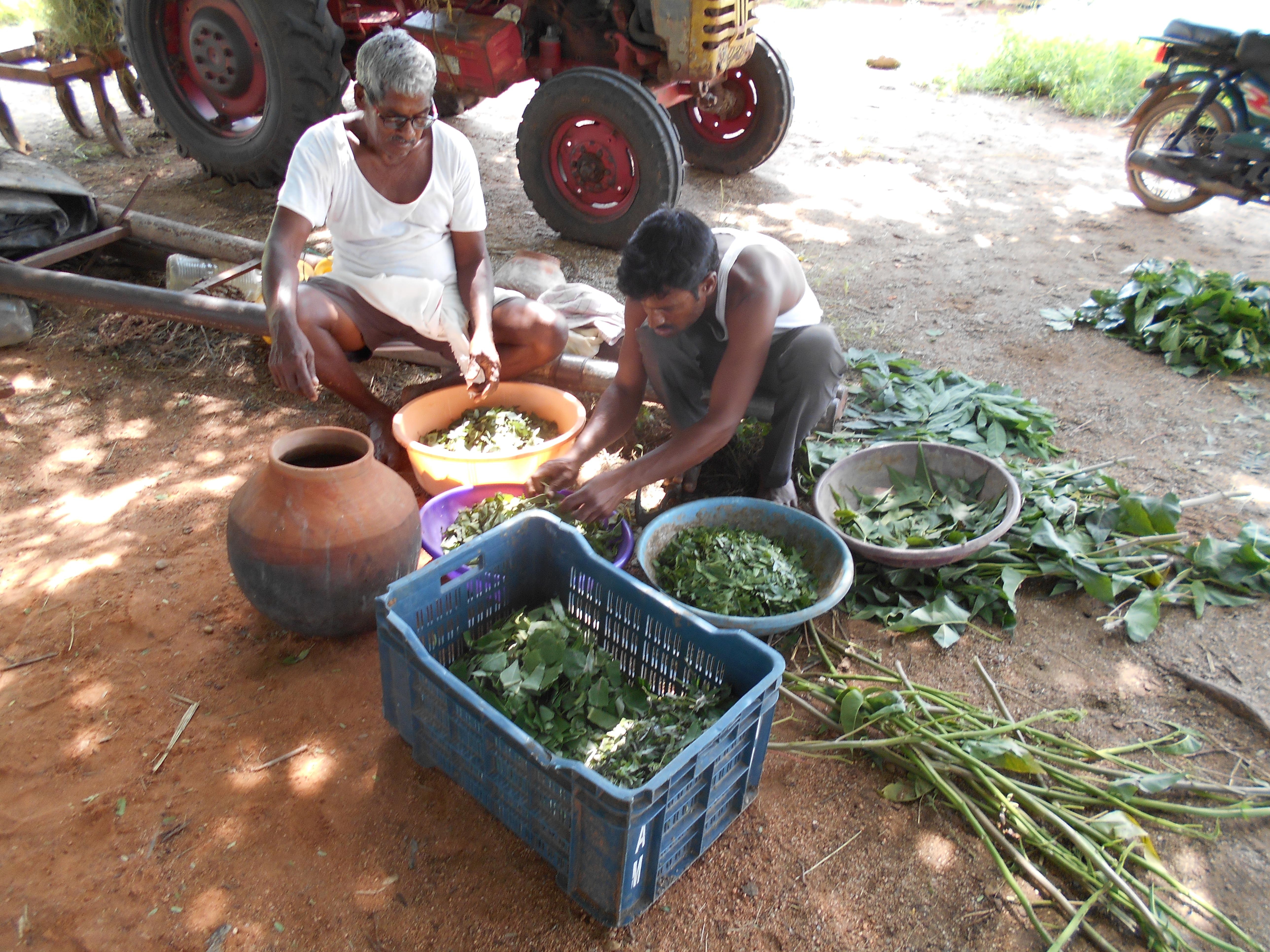 SUSTAINABILITY ENTREPRENEURSHIP…