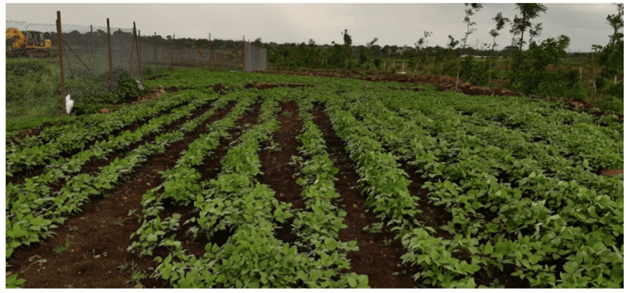 organic farms hyderabad