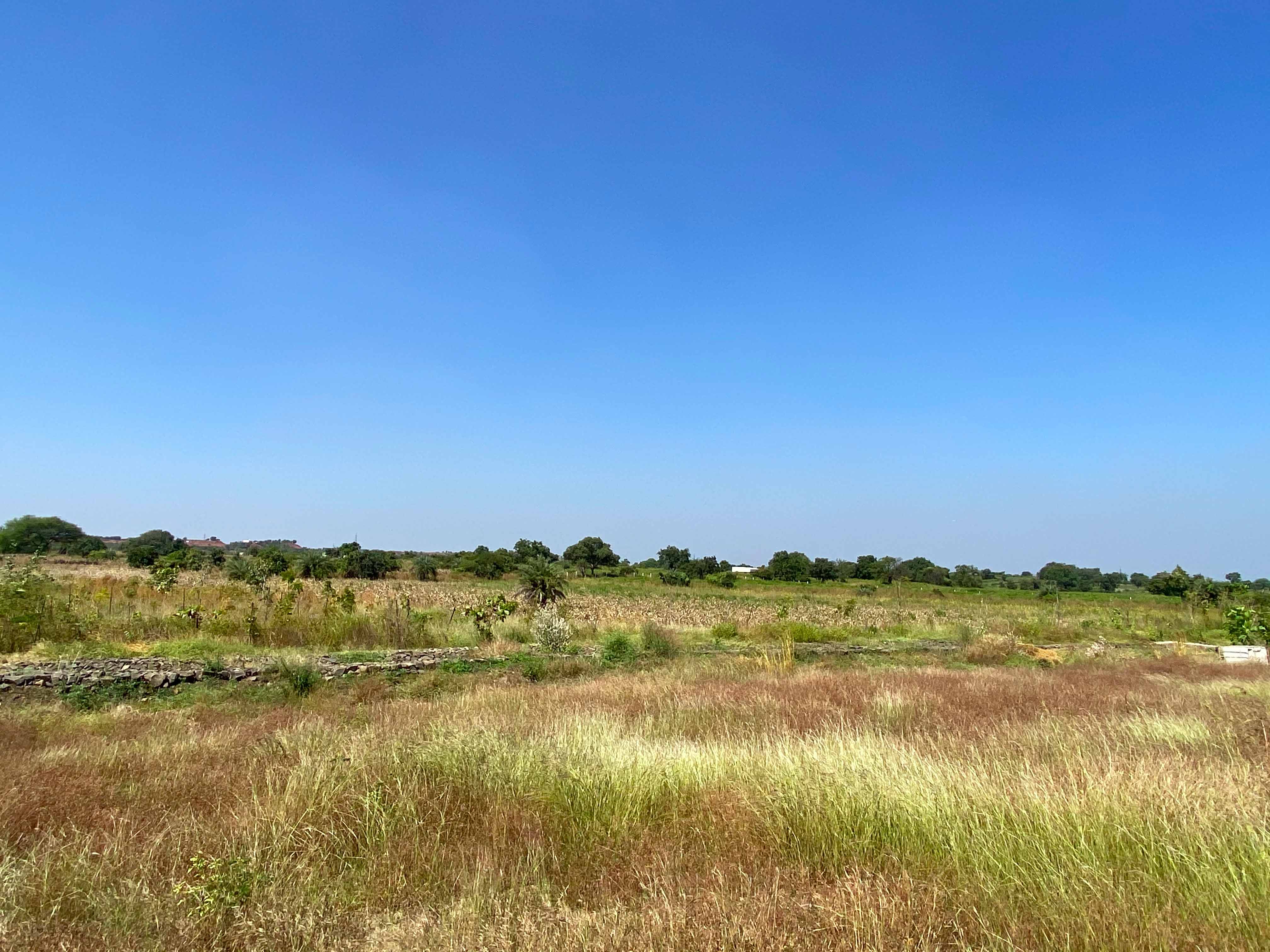 50 acres of land to build an integrated eco-habitat