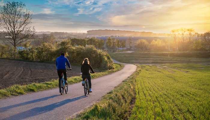 Sustainability Mindset Principles