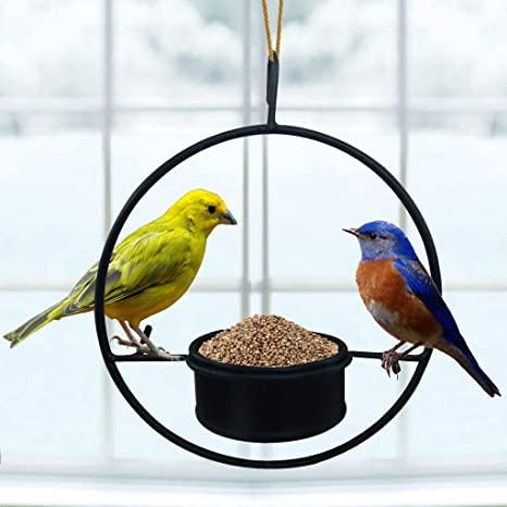 TrustBasket Bird Feeder – Garden Bird Feeder,Hanging Metal Feeder for  Balcony,Home,Indoor and Outdoor(Black) : Amazon.in: Garden & Outdoors