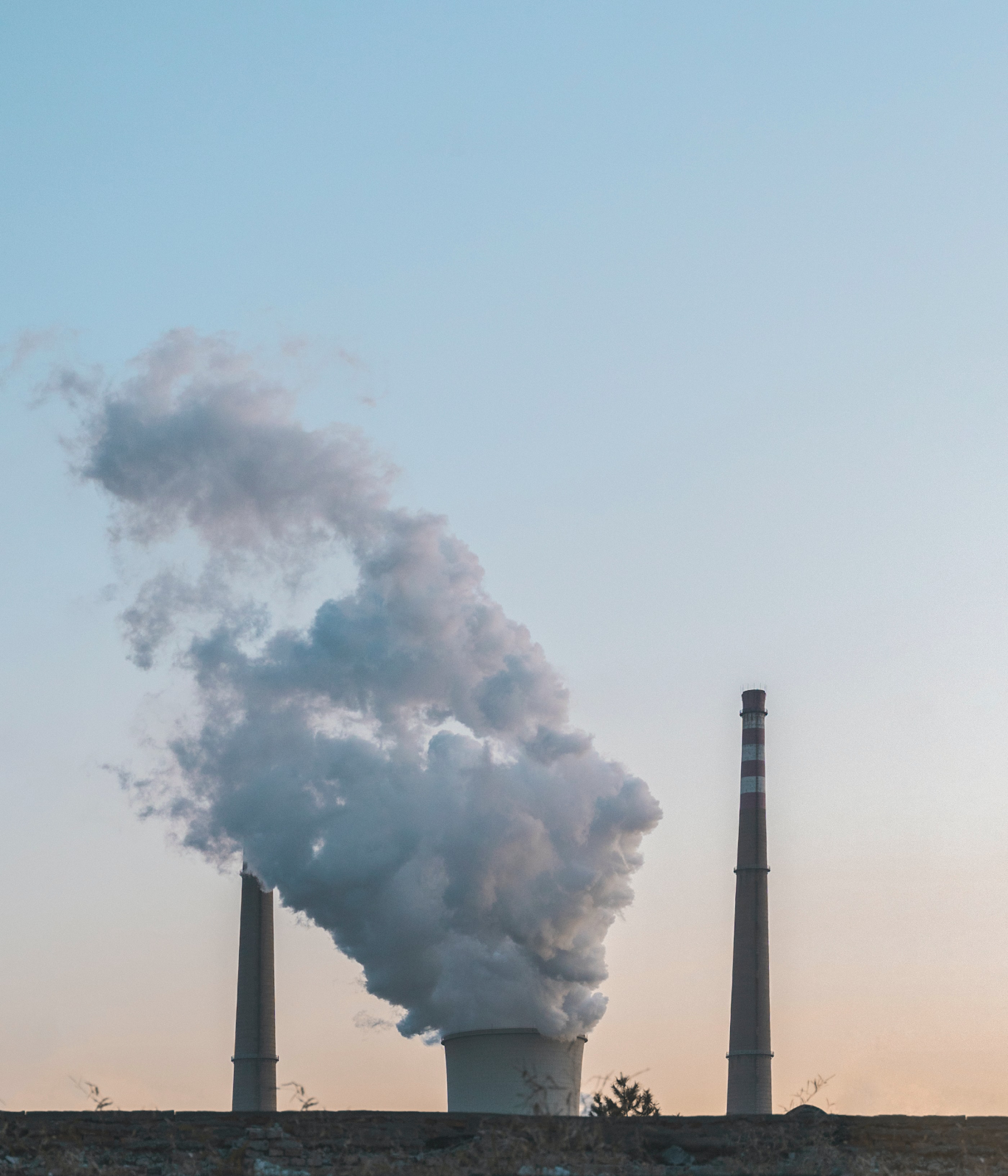 biomass and nuclear energy