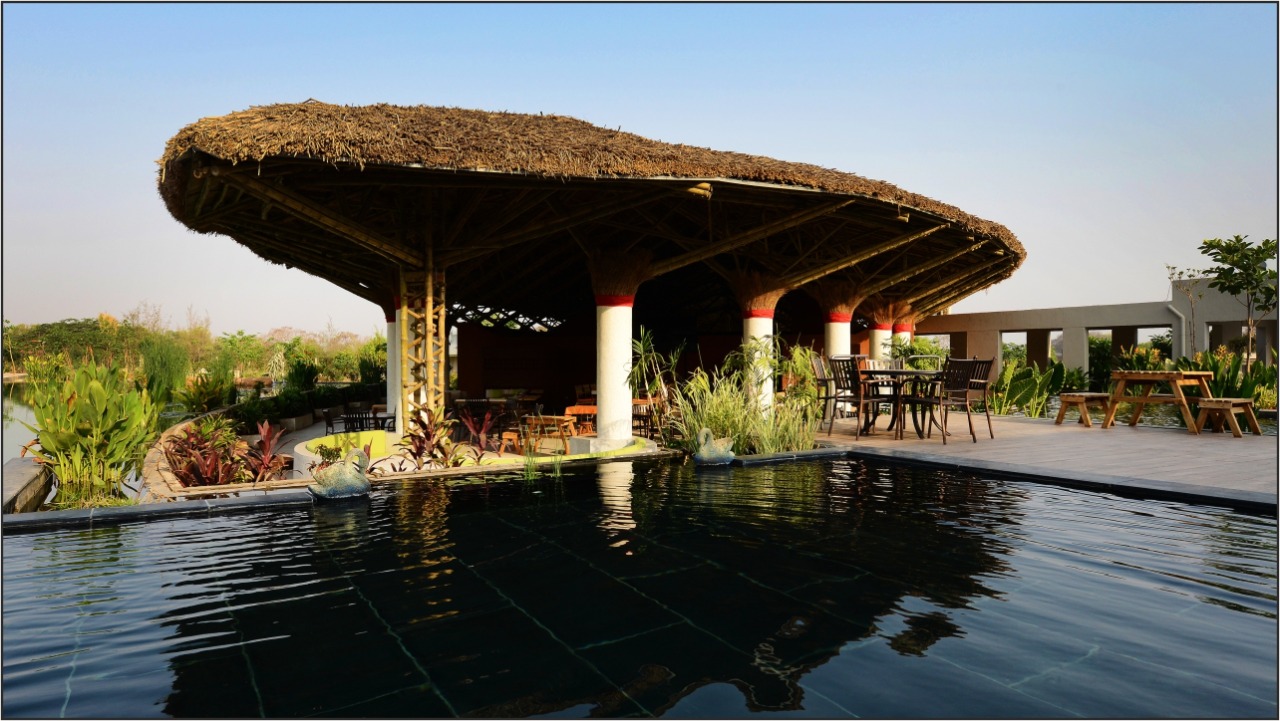 Why is a natural swimming pond good for you?