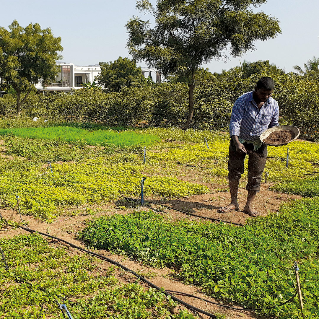 organic farming hyderabad- Organo