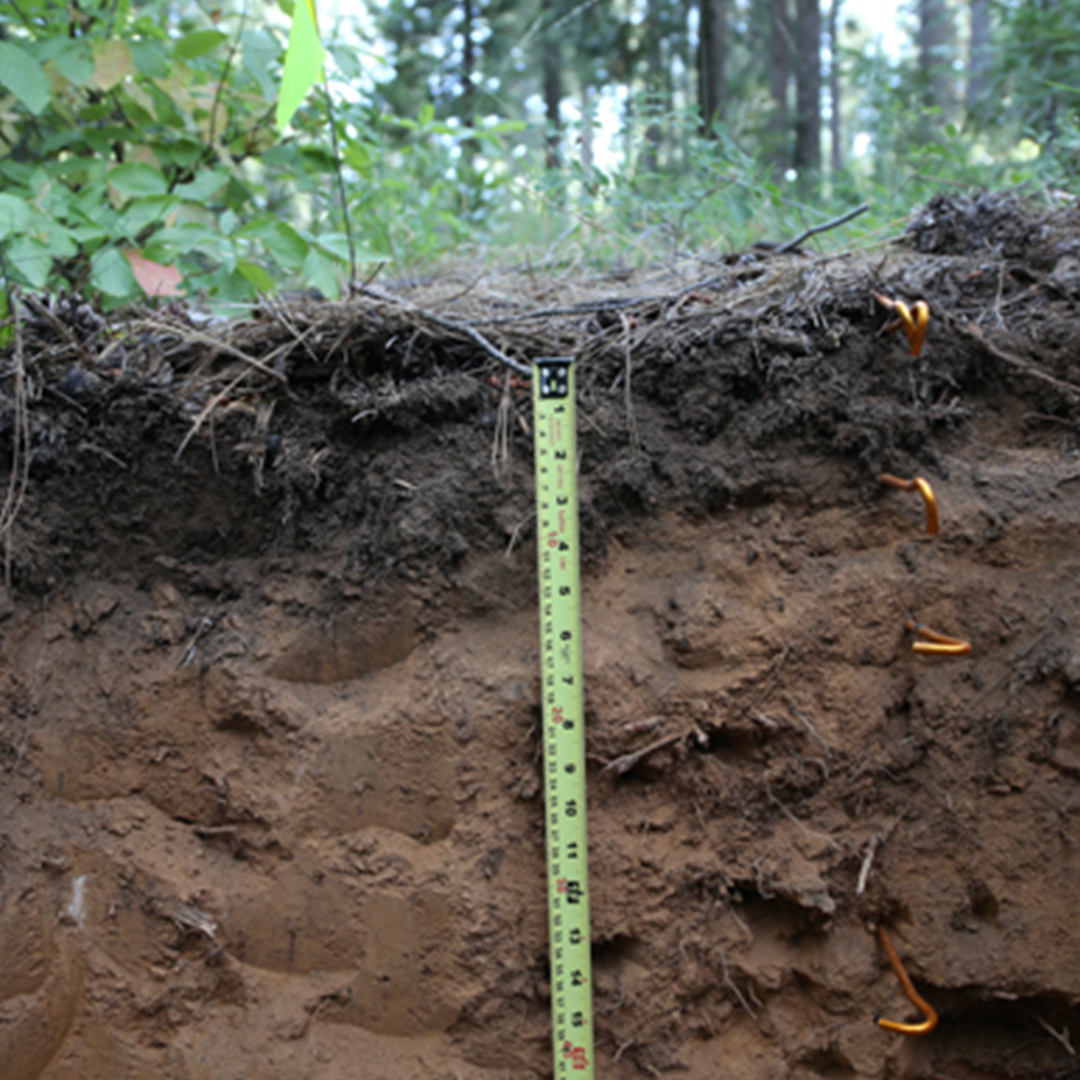 soil as recycler